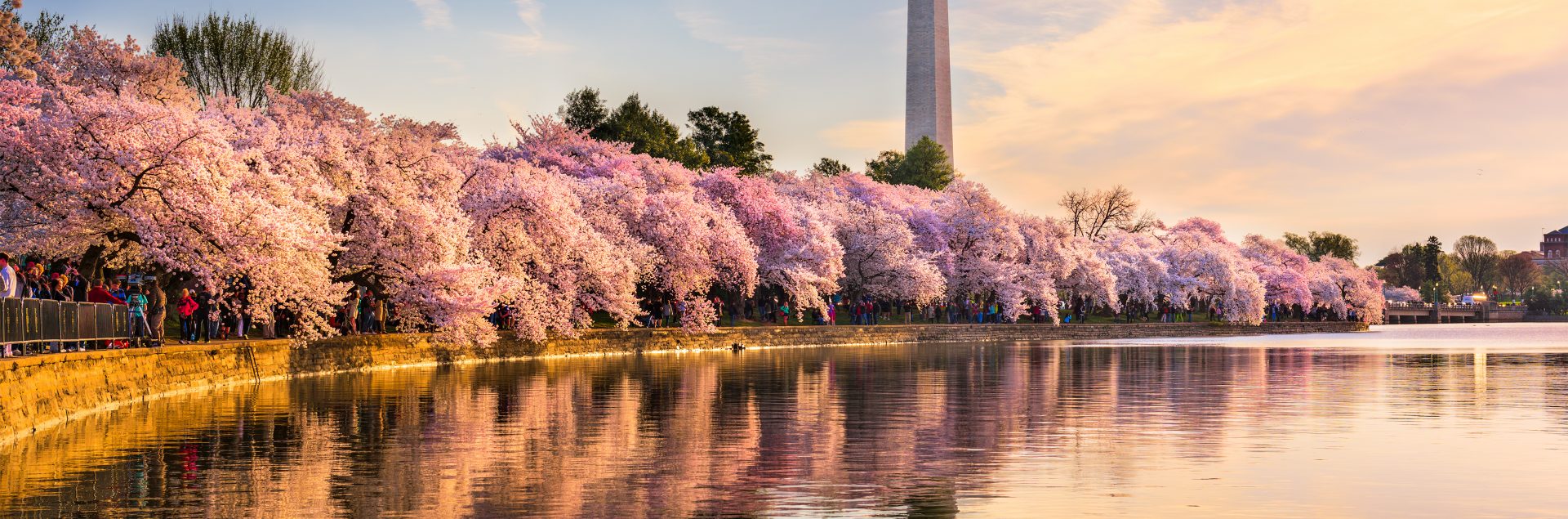 Washington DC in Spring